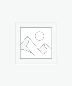 Uncategorized